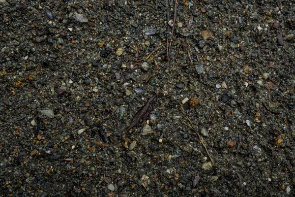 Strukturen på en grund flod sten. Pebble bakgrundsbild — Stockfoto