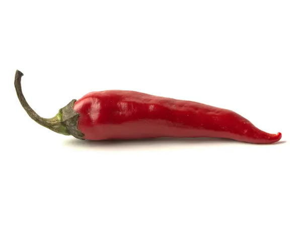 Objeto aislado: chiles rojos picantes — Foto de Stock