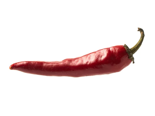 Izolált tárgy: forró piros chili paprika — Stock Fotó