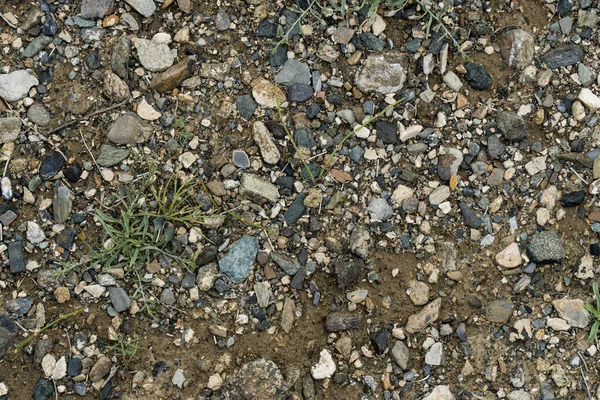 Konsistensen av fin sten på marken med gräs och blommor. — Stockfoto