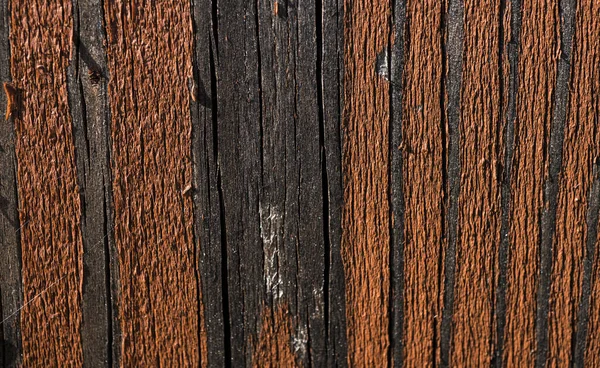 Texture of old wood. Background image. Macro photo — Stock Photo, Image