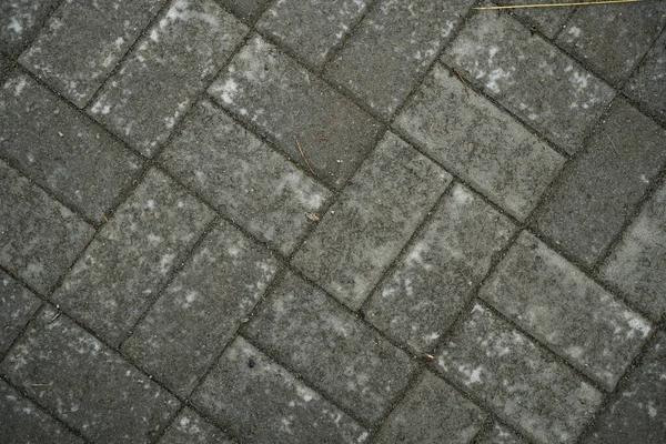 Texture de dalles de pavage recouvertes d'herbe. Image de fond o — Photo