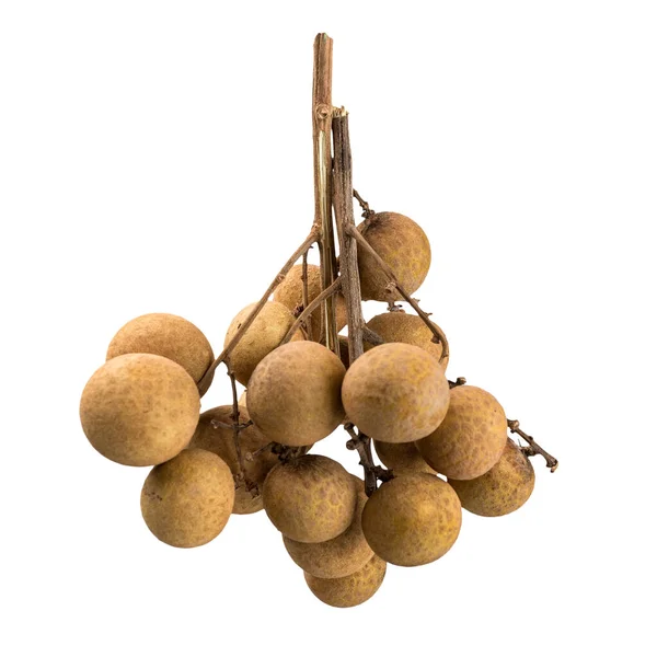 Longan Frukt Isolerad Vit Bakgrund Sprig Med Frukt Longan Drakens — Stockfoto