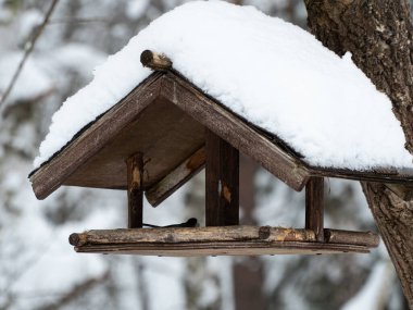 Wooden home-made bird feeder covered in snow. A house for wild birds where you can eat grain. Hungry birds eat in a natural feeder in a cold snow-covered forest.