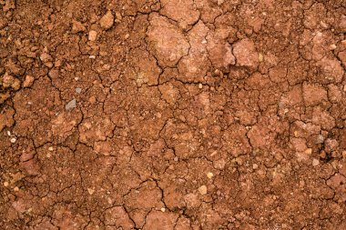 Kurutulmuş çatlak kil dokusu. Kurutulmuş kil makro arka plan görüntüsü