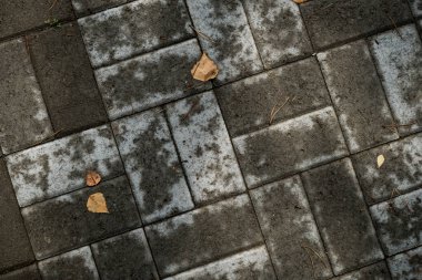 Çim ile büyümüş kaldırım levhaları Doku. Bir tabaka taşının arka plan görüntüsü