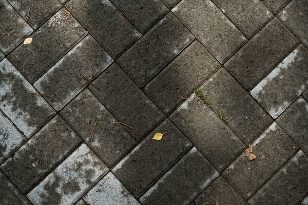 Texture of paving slabs overgrown with grass. Background image of a stratum stone