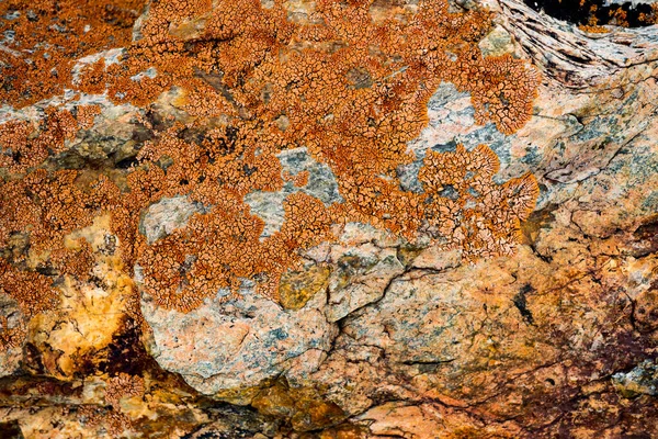 Tekstura Kamienia Nadrastające Mchem Obraz Tła Głazu — Zdjęcie stockowe