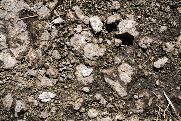 Texture Earth Background Image Siberian Soil Macro Photo — Stock Photo, Image
