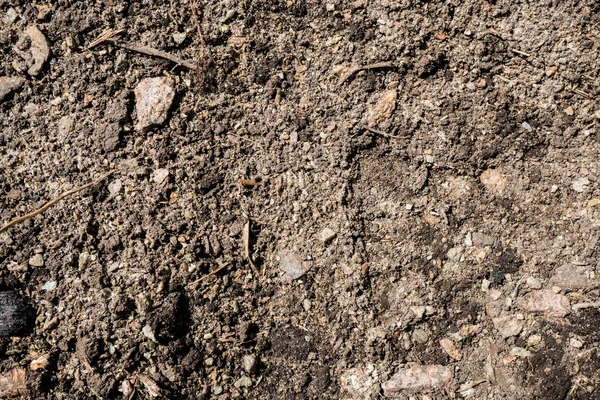 Texture Earth Background Image Siberian Soil Macro Photo — Stock Photo, Image