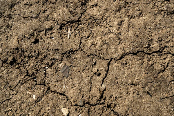 Texture Earth Background Image Siberian Soil Macro Photo — Stock Photo, Image