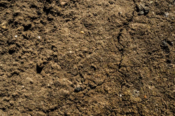 Texture Earth Background Image Siberian Soil Macro Photo — Stock Photo, Image