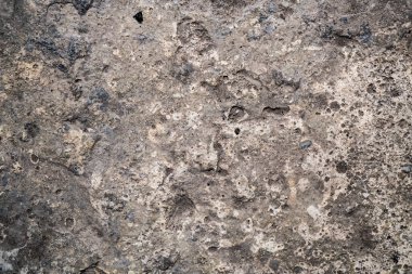 Beton dokusu. Arkaplan resmi. Makro fotoğraf.