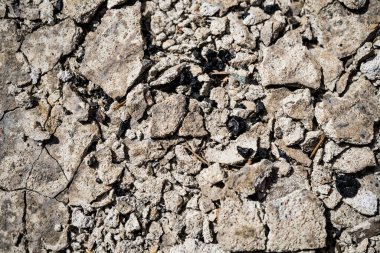 Beton dokusu. Arkaplan resmi. Makro fotoğraf.