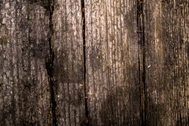 Eski ahşap doku. Arka plan görüntüsü. Makro fotoğraf.