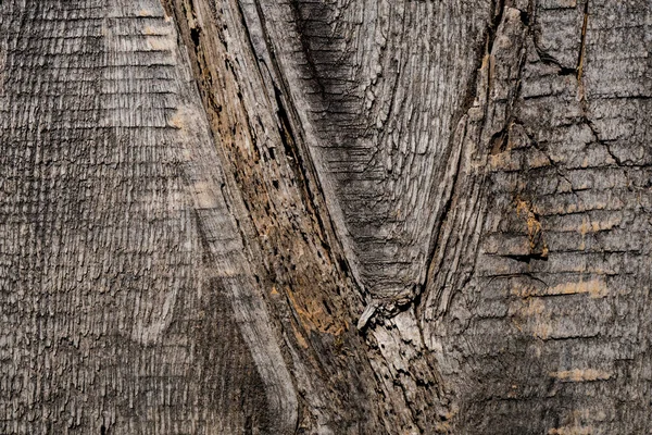 Textur Aus Altem Holz Hintergrundbild Makrofoto — Stockfoto