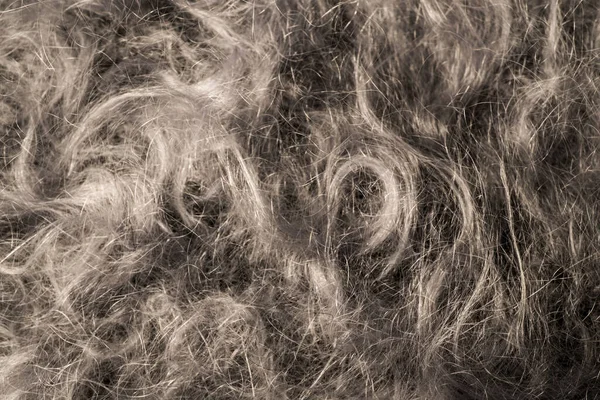 ウールの質感 マクロ撮影ショール 羊毛繊維の背景画像 — ストック写真