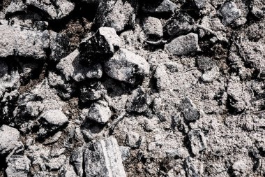 Küllerin dokusu. Arkaplan resmi. Makro fotoğraf.