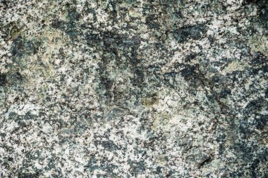 Taşın dokusu yosunla büyümüş. Bir kayanın arka plan görüntüsü