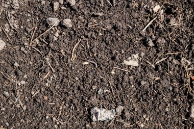 Toprağın dokusu. Arkaplan resmi. Sibirya toprağı. Makro fotoğraf.