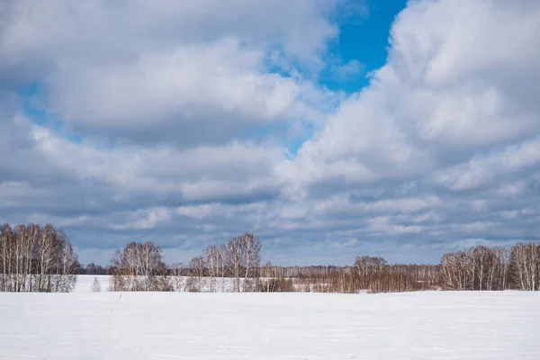 Imagem Fundo Das Paisagens Nevadas Sibéria — Fotografia de Stock