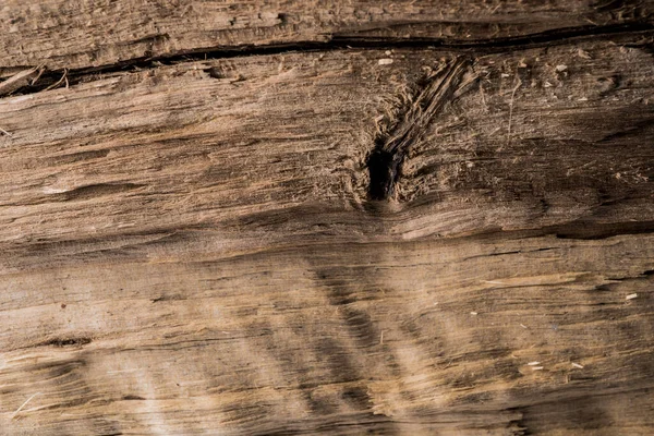 Struktura Dřeva Struktura Dřevěných Zrn Řezu Obrázek Struktury Stromu Pozadí — Stock fotografie