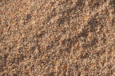 Kumlu bir plajın arka plan görüntüsü. Duvar kağıdı. Metin için substrat. Detaylı kum dokusu. Deniz kıyısında kum var. Üst görünüm.