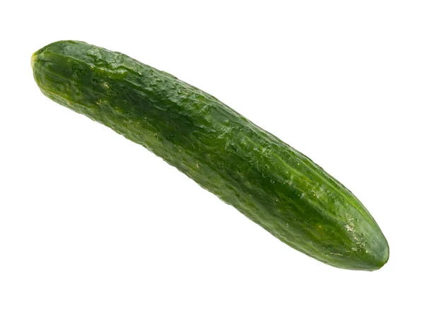 Geïsoleerde Groente Een Witte Achtergrond Rijp Komkommer Verse Groenten Oogsten — Stockfoto