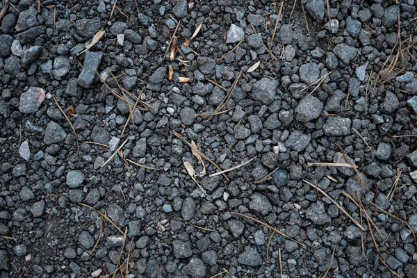 Strukturen Grusvägen Täcker Skogsstig Grus Täckt Med Nålar Stigen Granskogen — Stockfoto