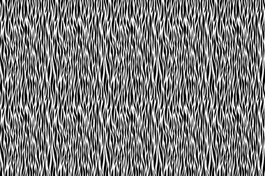 Siyah beyaz arka plan. Hayvan süsüsüyle dekoratif, pürüzsüz desen. Zebra derisi. Kart, poster ve afiş için moda şablonu tasarımı. Kumaş, tekstil, duvar kağıdı, poster için vektör illüstrasyonu.