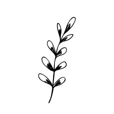 El çizimi soyut çiçek filizi silueti. Siyah ve beyaz ana hatlı vektör çizimi. Dekoratif dallar. Bahar ve yaz yaprağı ikonu. Doodle tarzı.