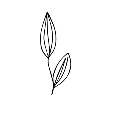 El çizimi soyut çiçek filizi silueti. Siyah ve beyaz ana hatlı vektör çizimi. Dekoratif dallar. Bahar ve yaz yaprağı ikonu. Doodle tarzı.