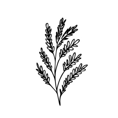 El çizimi soyut çiçek filizi silueti. Siyah ve beyaz ana hatlı vektör çizimi. Dekoratif dallar. Bahar ve yaz yaprağı ikonu. Doodle tarzı.