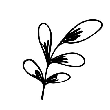 El çizimi soyut çiçek filizi silueti. Siyah ve beyaz ana hatlı vektör çizimi. Dekoratif dallar. Bahar ve yaz yaprağı ikonu. Doodle tarzı.