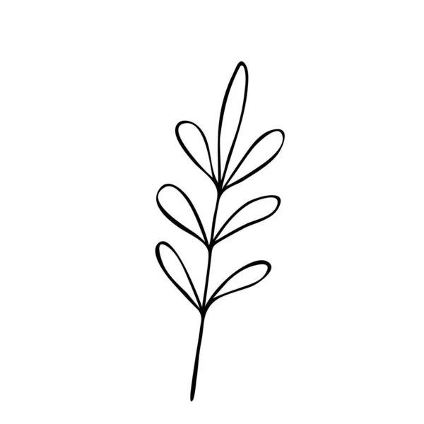 Ručně Kreslená Abstraktní Květinová Silueta Černobílý Obrys Vektoru Ilustrace Dekorativní — Stockový vektor
