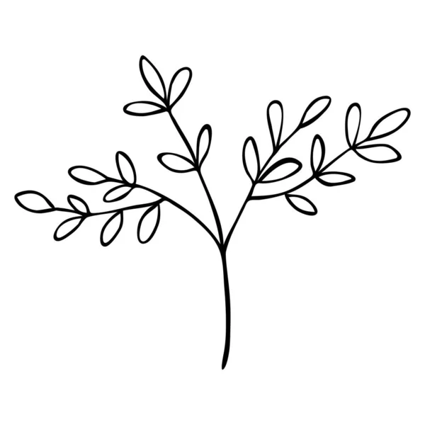 손으로 추상적 꽃봉오리 실루엣을 그린다 일러스트 장식적 가지들 나뭇잎 아이콘 — 스톡 벡터