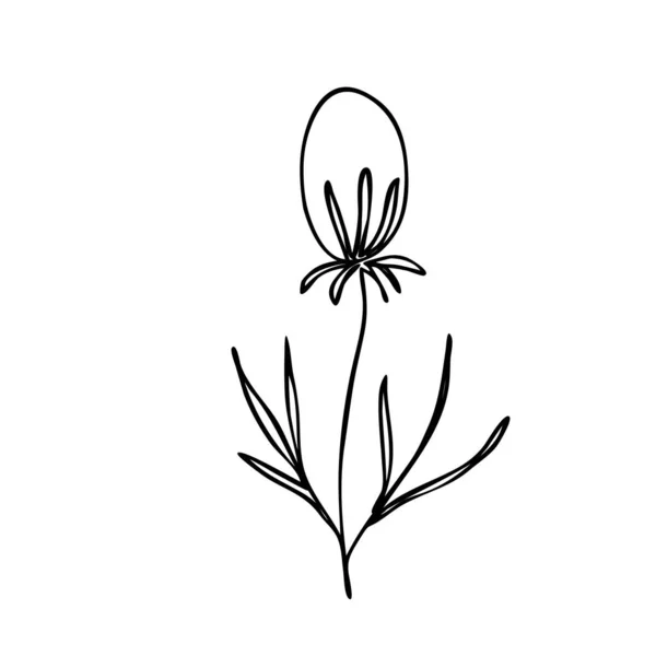 Silueta Ramita Floral Abstracta Dibujada Mano Ilustración Vectorial Blanco Negro — Vector de stock