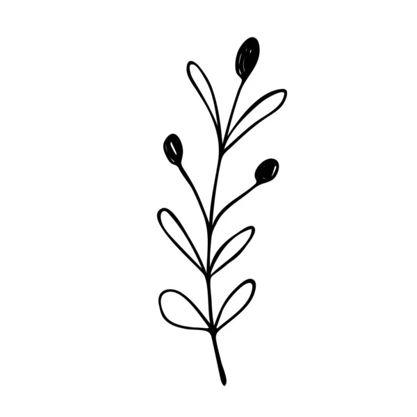 Ručně Kreslená Abstraktní Květinová Silueta Černobílý Obrys Vektoru Ilustrace Dekorativní — Stockový vektor