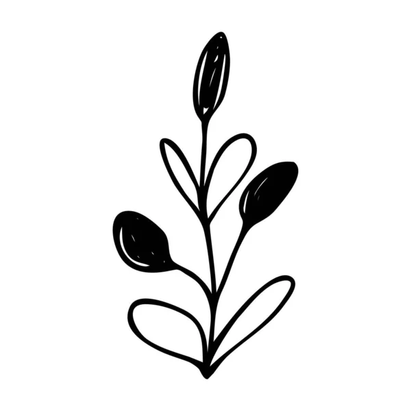 手绘抽象的花卉小枝轮廓 黑白轮廓矢量图解 装饰树枝 春天和夏天的叶子图标 涂鸦风格 — 图库矢量图片