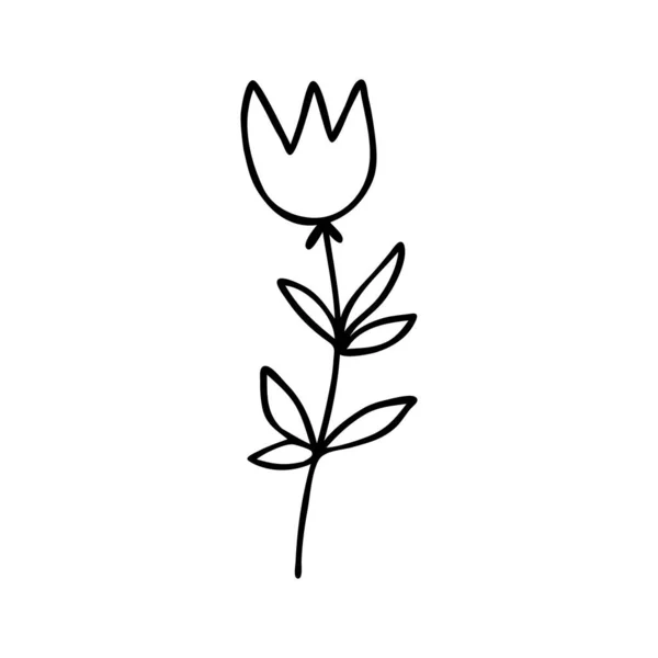Kézzel Rajzolt Absztrakt Virág Sziluett Fekete Fehér Vázlat Egyszerű Vektor — Stock Vector