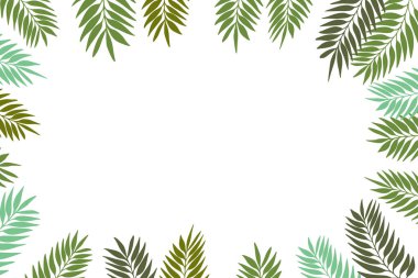 Beyaz arka planda renkli egzotik dalları olan çiçekli bir çerçeve. Tropik yapraklarla süslü bir sınır. Duvar kağıtları, posterler ve kart için vektör hisse senedi çizimi. Doodle tarzı. Boşluğu kopyala.