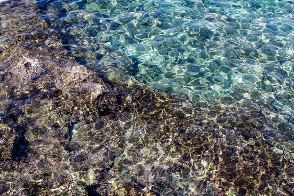 Transparent coral blue water texture