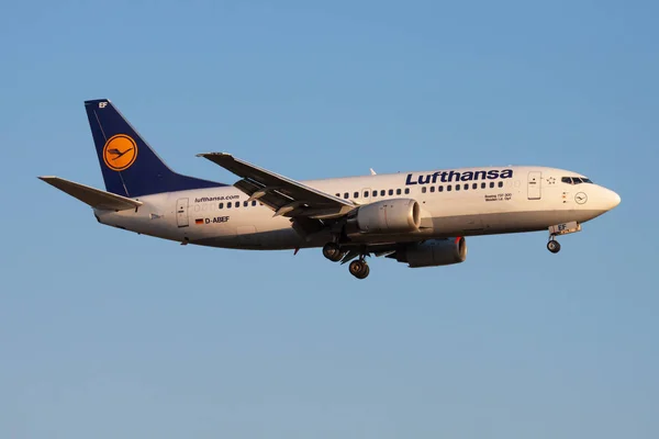 Lufthansa Boeing 737-300 D-Abef passagerarplan landning på Frankfurts flygplats — Stockfoto
