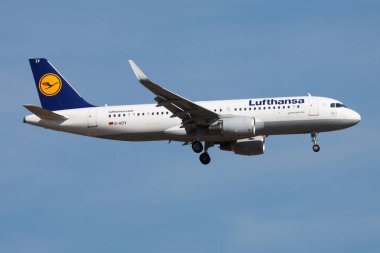 Lufthansa Airbus A320 D-Aizv yolcu uçağı Frankfurt Havaalanı'na iniş