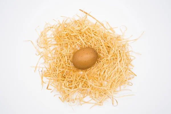Isolated egg with nest — Stock Photo, Image