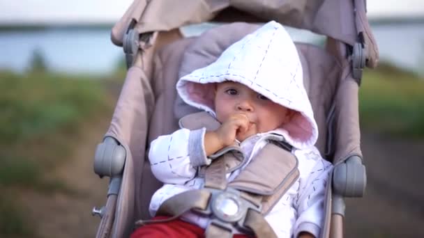 Pequeño Bebé Sentado Cochecito Chupa Pulgar Mano Sonríe Cámara — Vídeo de stock