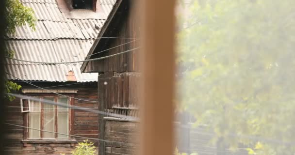 Тополь Пух Фоне Старых Деревянных Домов — стоковое видео