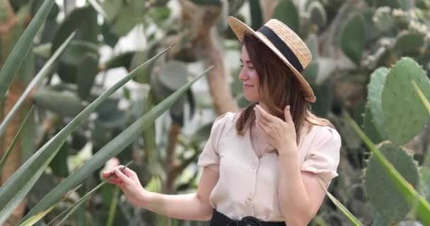 Femme Robe Promène Parmi Les Grands Cactus — Video