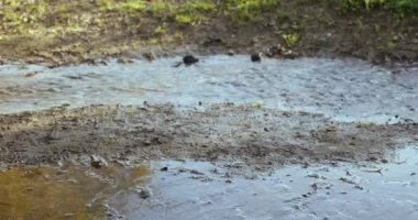 Sarı yağmurluklu ve lastik çizmeli bir kadın su birikintilerinde zıplıyor.