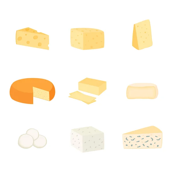 Farklı peynir çeşitleri kümesi, vektör illüstrasyon — Stok Vektör